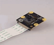 Raspberry Pi Security 