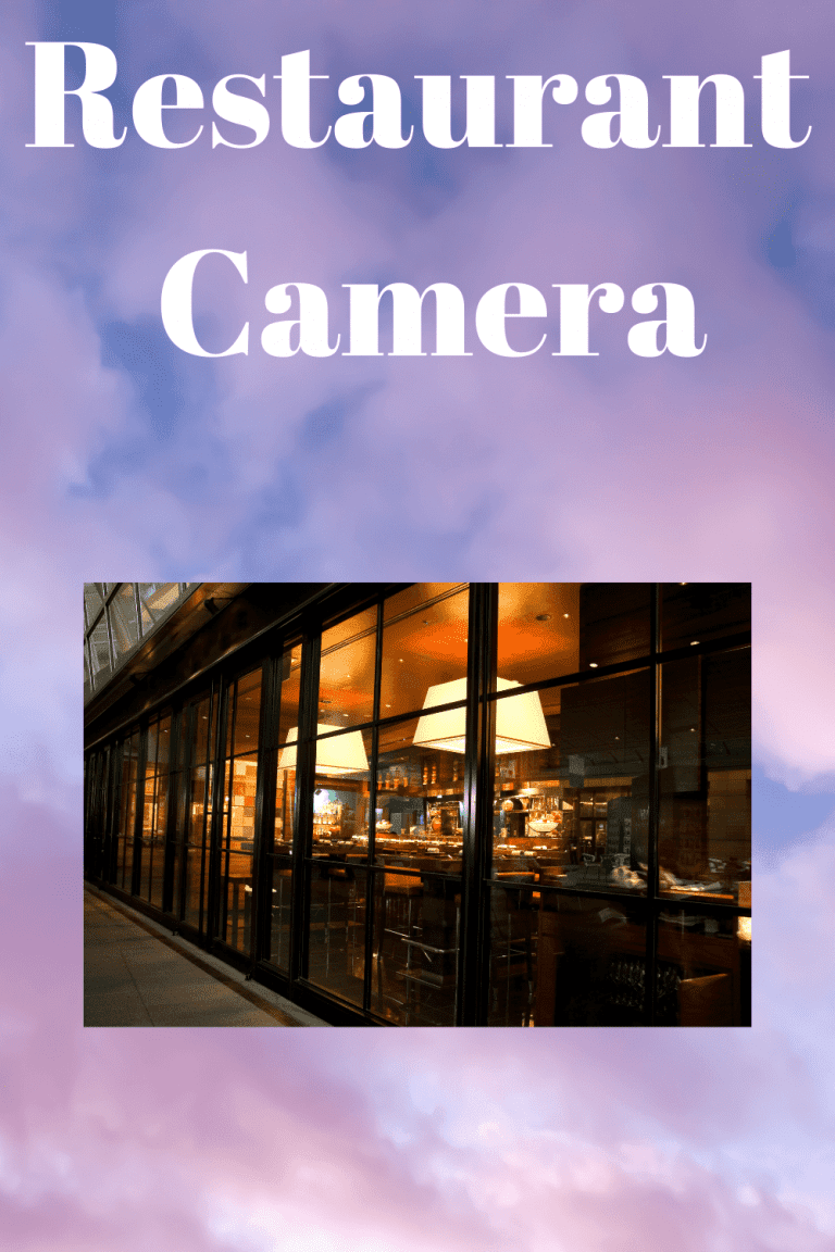 Restaurant Camera Securities Cameras
