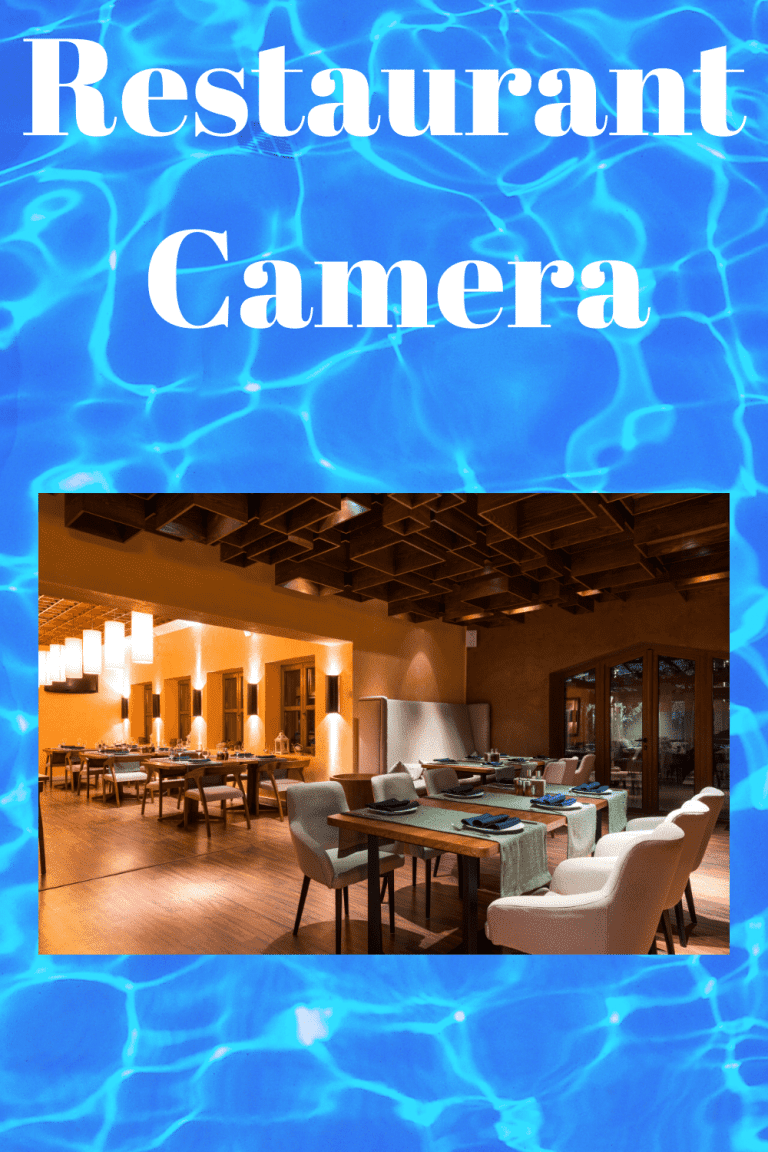 Restaurant Camera Securities Cameras